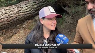 Basura en Península Andalué afecta anidación de aves: vecinos exigen acción municipal en San Pedro