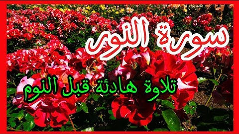 سورة النور تلاوة هادئة قبل النوم ❤️💚 @أدعيةجميلةتريحالقلب #سورة_النور