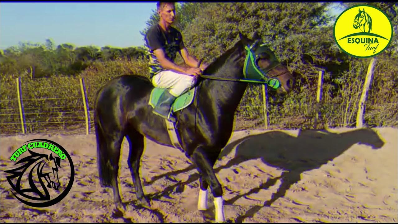 Secretos de carreras de caballos