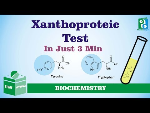 Videó: A xantoproteic teszt eredménye?
