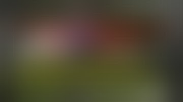 Empower Network 400K Success Formula - 6 Empower Network Money Myths They Didnt Want You to Know...