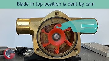 How Flexible Impeller Pumps Work