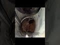 Airduct and Dryer Vent Cleaning experts in Bluebell
