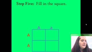 Punnett Square How-To Video