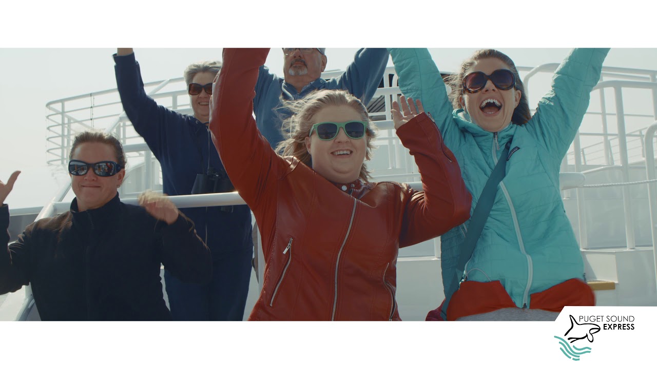 Guaranteed Whale Watching in Port Townsend