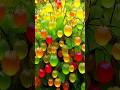 easy and fast techniques for growing and propagating goldenberry fruit trees #garden #fruits