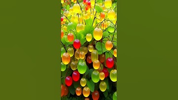 easy and fast techniques for growing and propagating goldenberry fruit trees #garden #fruits