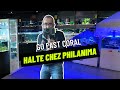 Go fast coral hatle chez philanima