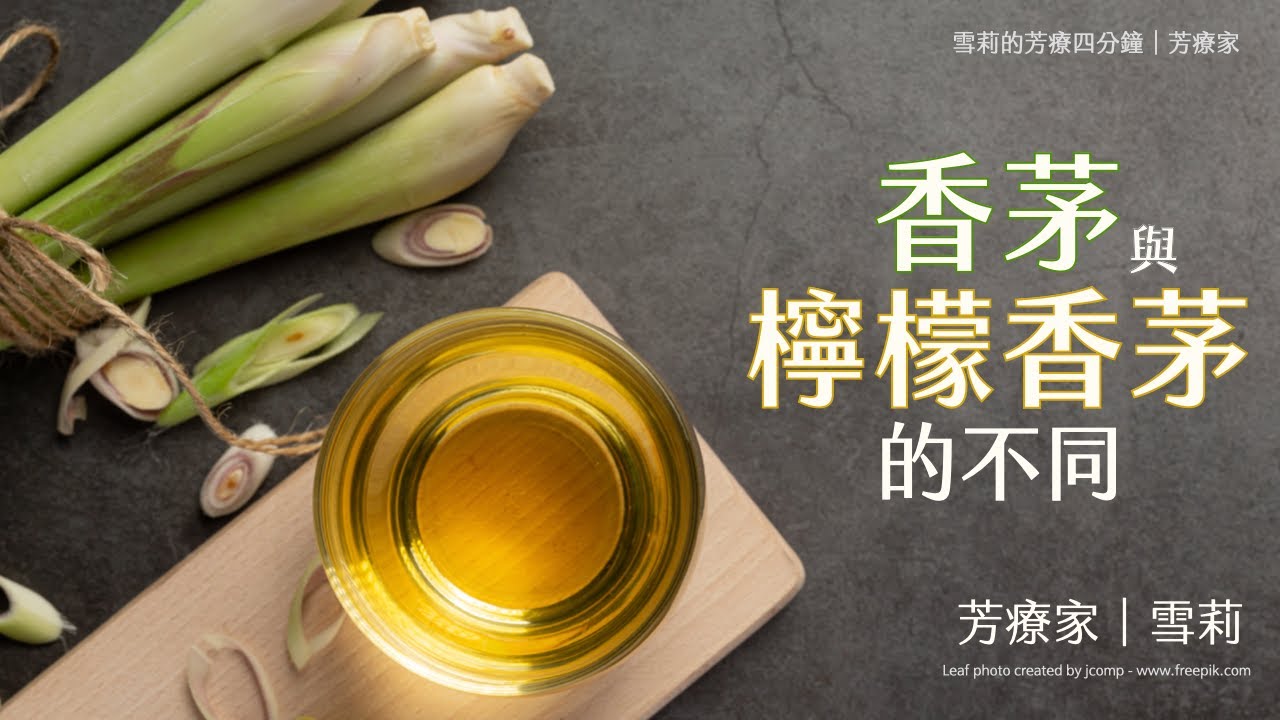 香茅跟檸檬香茅比較｜檸檬香茅不是檸檬加香茅，同樣是香茅家族成員，兩種香茅哪裡不一樣？｜雪莉的芳療四分鐘｜芳療家 縮圖