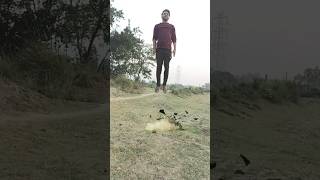 choti si edit VFX #vfx #shrot #movievfx