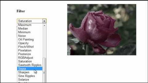 Animated Filters - Javascript Demo