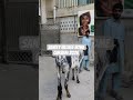 Qurbani eid Mubarak, Sandly Village Home Qurbani 2026, orphanage Rawalpindi,