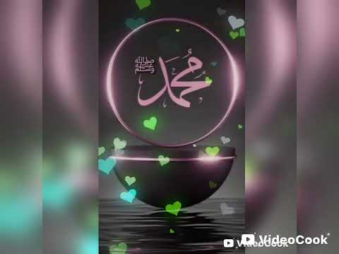 أنشودة لو كان بيننا الحبيب بدون موسيقى إنشاد محمد كندو