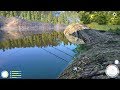 Русская рыбалка 4 - озеро Куори - Фидер и насекомые