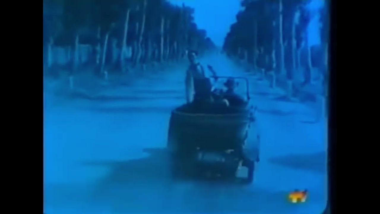 МУЖСКОЙ ГРИБ-пост апокалипсис(official clip)