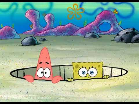 Persian Persian Toon