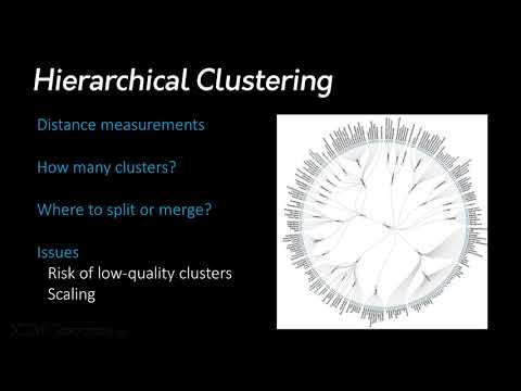 Hierarchical Clustering