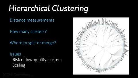 Hierarchical Clustering