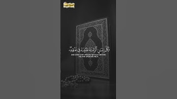 وكل انسان الزمناه طائره في عنقه #سورة_الإسراء #ياسر_الدوسري #trend #اكسبلور #trending #explore