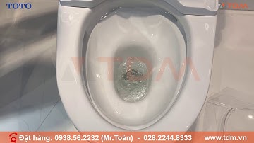 TDM.VN | Thử xả nước bồn cầu Toto MS636DT8 - MS636DT2 (Thân cầu C636D - 636) xả xoáy Tornado Jet