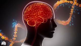 Альфа-волновой массаж мозга, Доказанная целебная звуковая волна, 100% Эффективная,  Регенерирующая