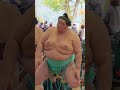 琴櫻 対 熱海富士　神宮奉納大相撲トーナメント #大相撲 #sumo #琴櫻#熱海富士