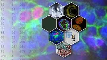 Basic Microscopic Image Processing and Analysis Online Course