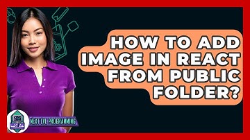 How To Add Image In React From Public Folder? - Next LVL Programming