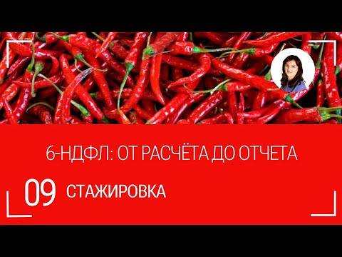 #9 Учет НДФЛ: от расчёта до отчета.