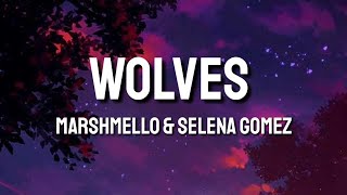 Selena Gomez, Marshmello - Wolves (Lyrics)