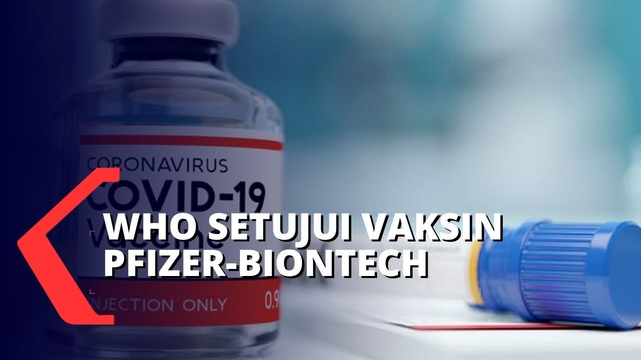 Moderna Vaccine Dari Mana / Perbandingan Vaksin Covid 19