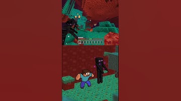 Enderman Encounters Animation meme In Real Minecraft #minecraft #enderman #nether @ChinosAnimated