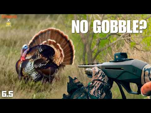 What to do when a Turkey WON'T GOBBLE? thumbnail