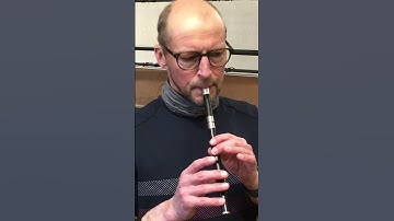 Thumbnail of Stewart introduces the ‘posh tin whistle’ – Concerning Hobbits #lordoftherings #orchestra