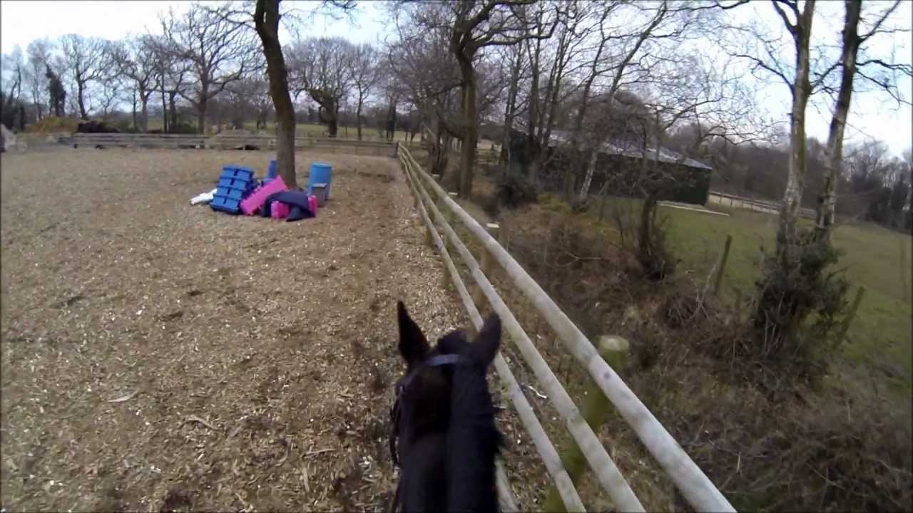 Horse Riding (GoPro Hero 3) YouTube