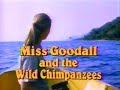 Miss Goodall and the Wild Chimpanzees (1965) (1988 Edited Version)