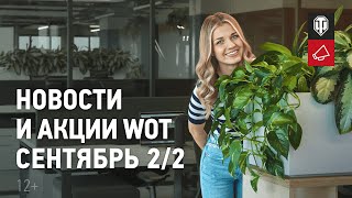 Новости и акции МТ - Сентябрь 2/2