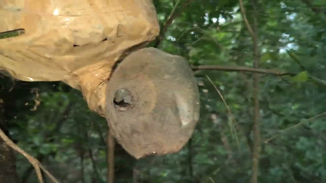 Minha hora está muito forte