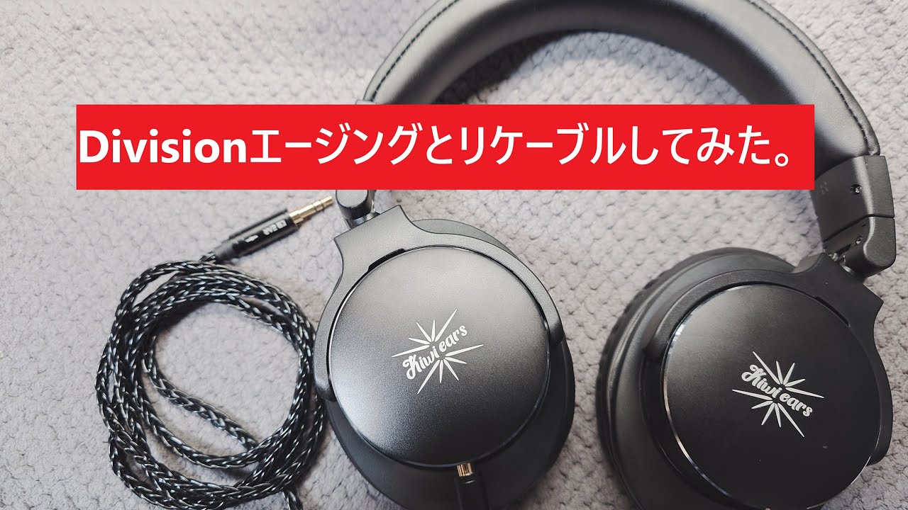 Linsoul Kiwi Ears Division】未だに日本人のレビューを見かけない