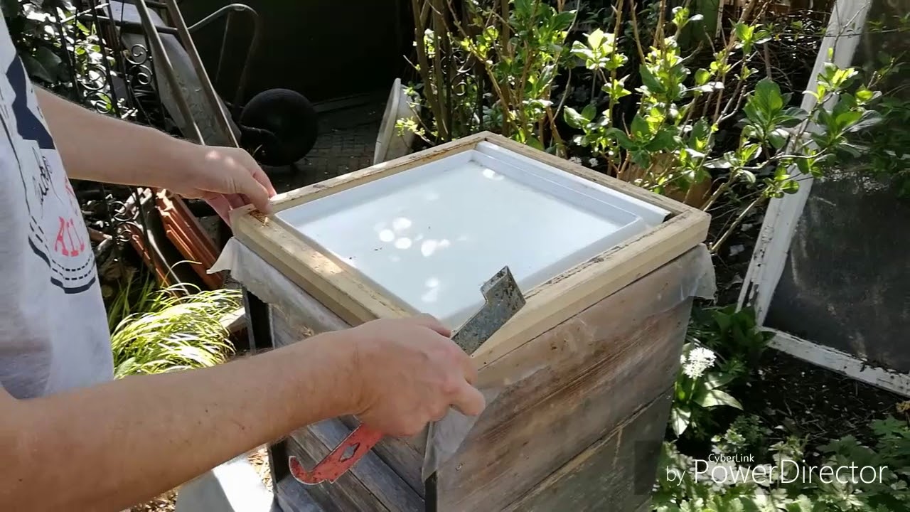 Ableger mit Bienen verstärken - leicht gemacht - YouTube