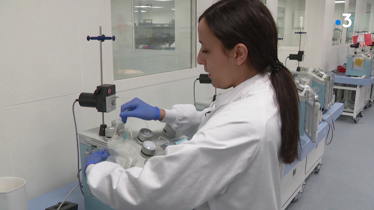 Don du sang : le traitement des poches de sang