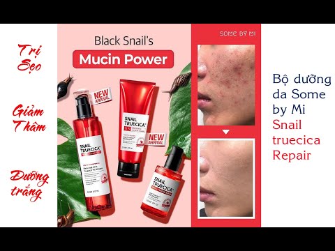 Bộ Dưỡng Da trị sẹo, thâm mụn Some By Mi Snail Truecica Miracle Repair