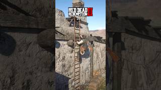 RDR1 VS RDR2 - Ladder Animation #shorts #rdr2 #reddeadredemption2 #rdr1 #comparison