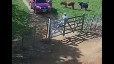 Minha vó me dizia, meu filho tu vai ver coisa. Nada, foi nada se jogou