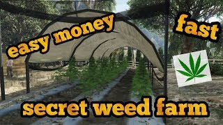 Hi guys and welcome to today's video i am showing you a secret weed
farm which can raid collect free money up $150,000!