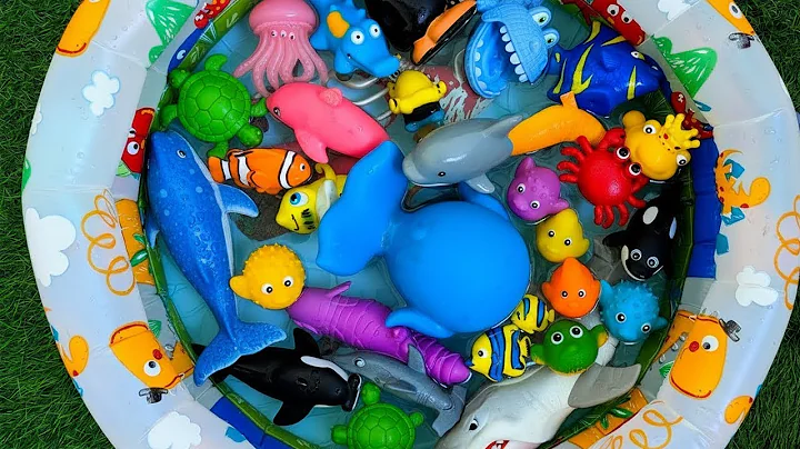 Sea Animal Toys for Kids | Learn Ocean Animal Names & Fun Facts for Preschoolers