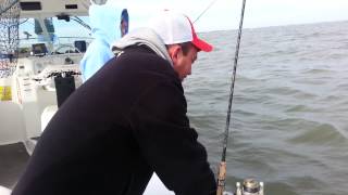 Sea Sickness