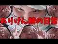 ありけん鯖の日常#1【まとめ】