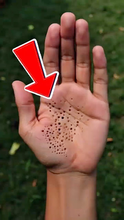 ⚠️ Never, Ever Touch It‼️😱💀