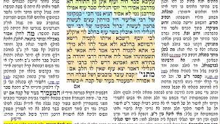 חולין קטז 116 שבת ט״ז אדר ב׳ תשע״ט Daf yomi Chullin daf 116 חולין קטז